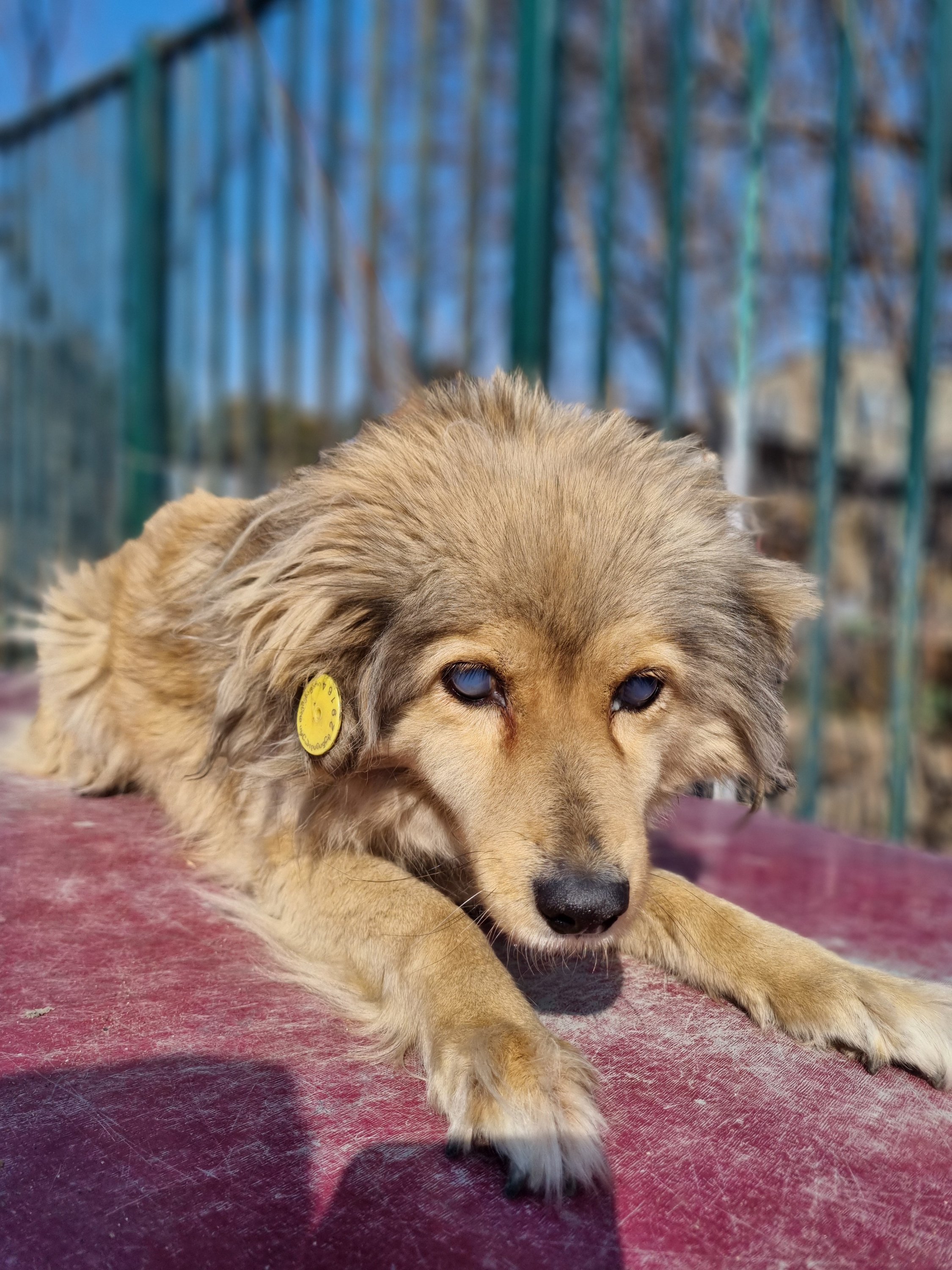 ჯავახეთის გამზირი. (უნივერსამი)