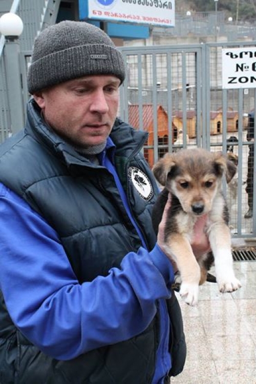 მეტისი უსახელო