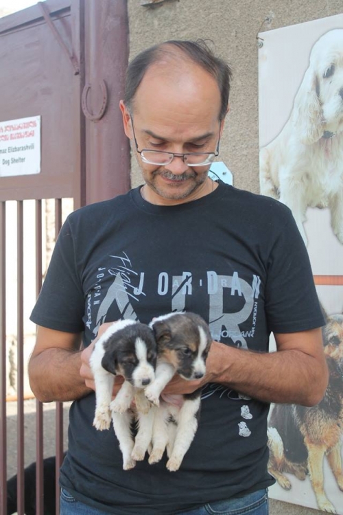 მეტისი უსახელო