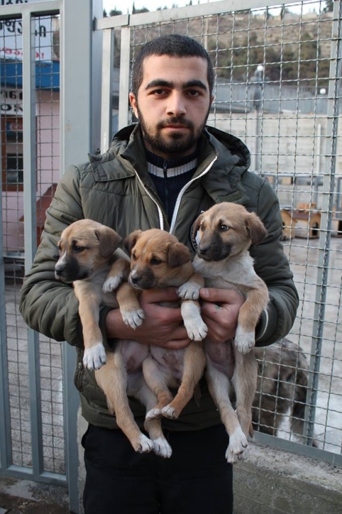 მეტისი უსახელო