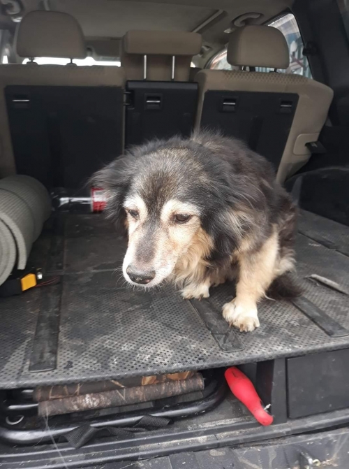 მეტისი უსახელო