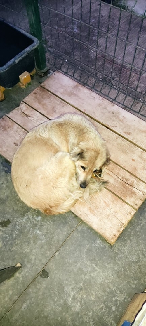 მეტისი თემქა მე 4 მკ. მე 7 კორ.