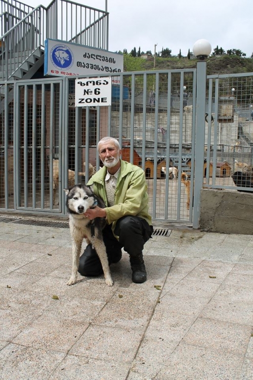 ლაიკა უსახელო