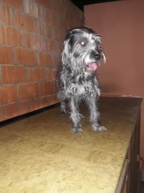 ბალონკა მოსკოვის პროსფექტი ორი ნაბიჯი