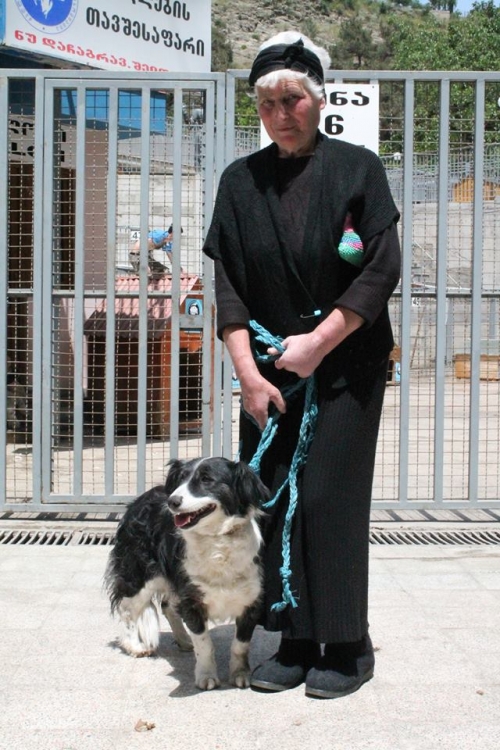 მეტისი ცუგო