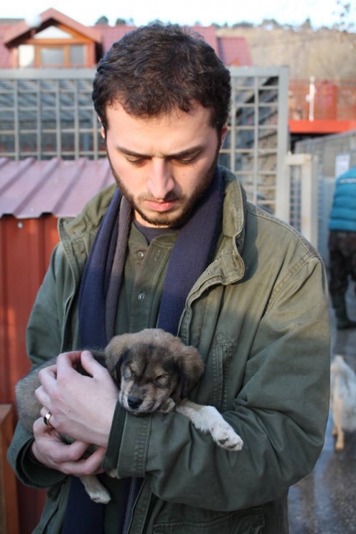 მეტისი უსახელო