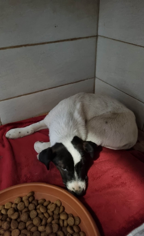 მეტისი ვაგზლის მოედანი