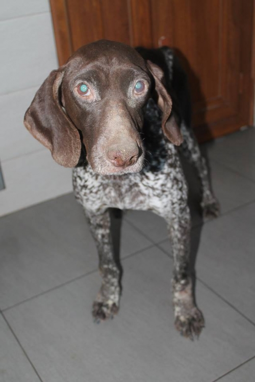 კურცხაარი უსახელო