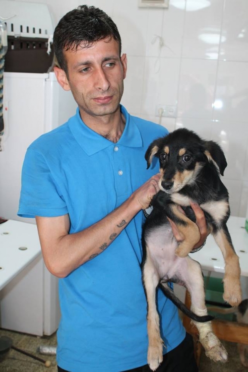 მეტისი უსახელო