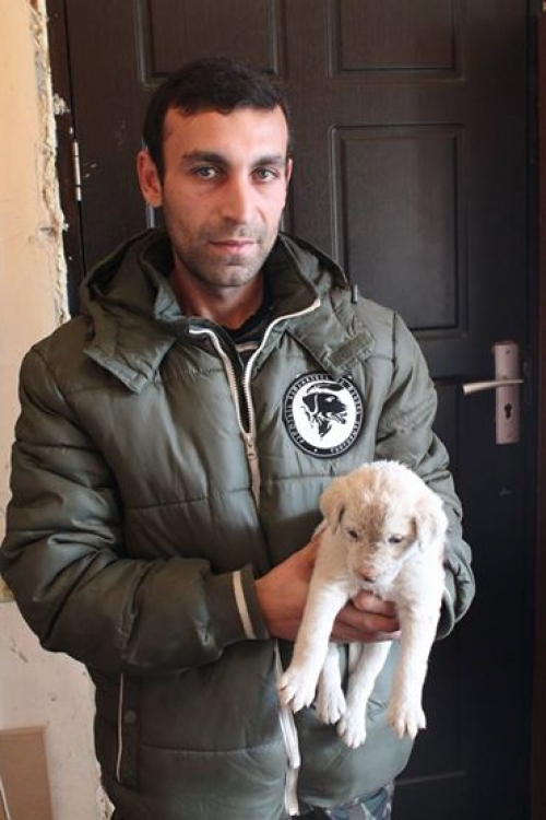 მეტისი უსახელო