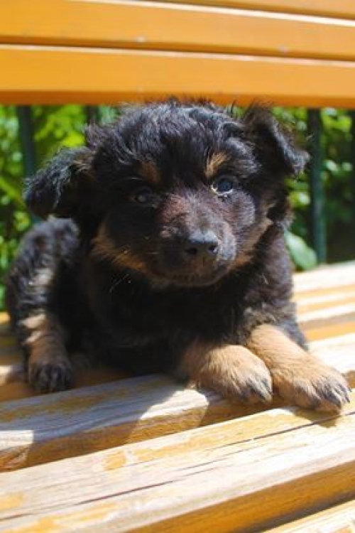 მეტისი უსახელო