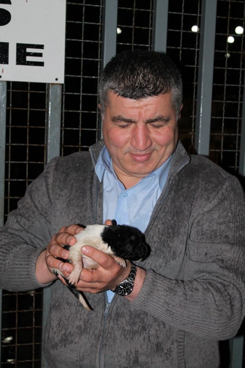 მეტისი უსახელო