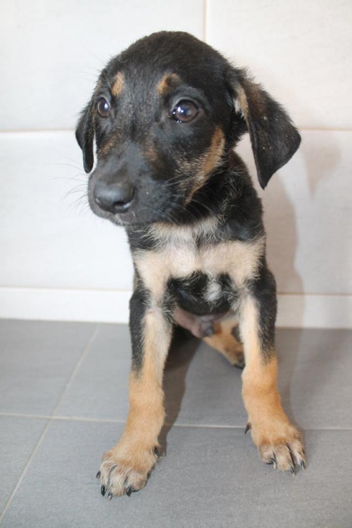 მეტისი უსახელო