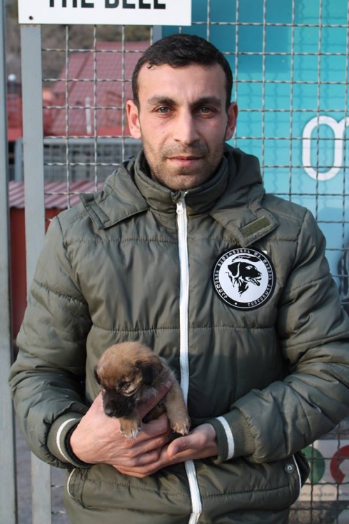 მეტისი უსახელო