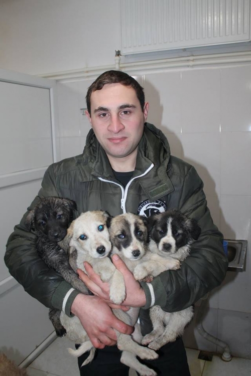 მეტისი უსახელო