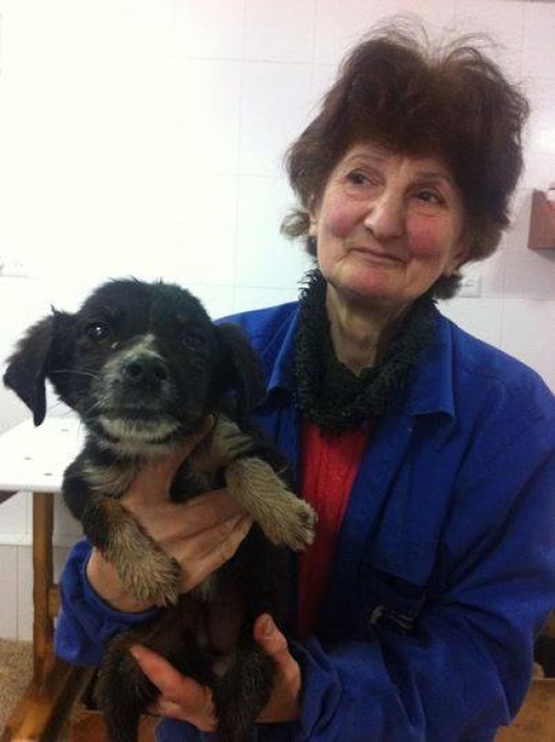 მეტისი უსახელო