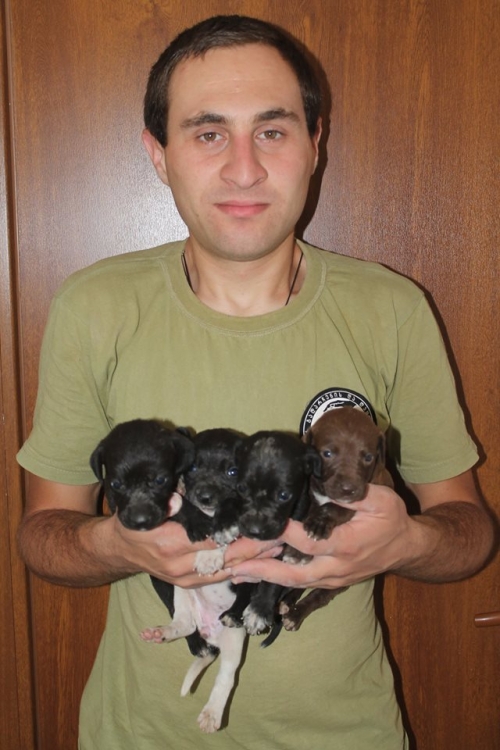 მეტისი უსახელო