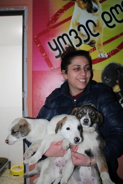 მეტისი უსახელო