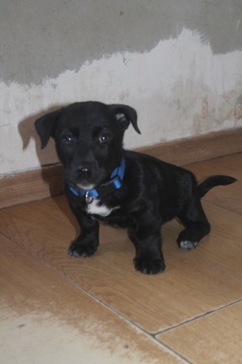 მეტისი უსახელო