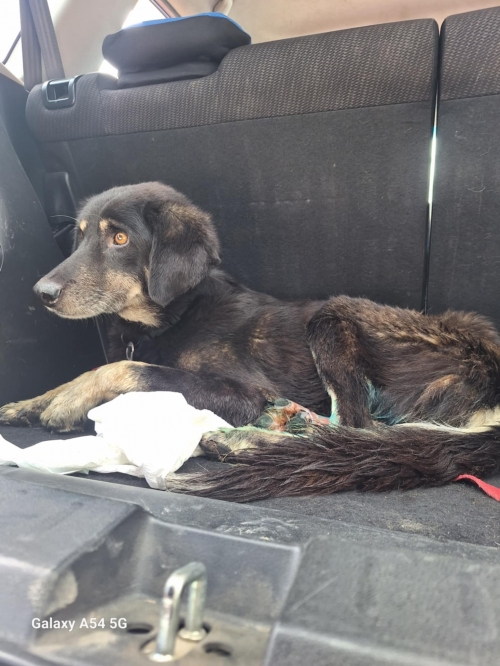 მეტისი ვარკეთილი კუპრაძის ქუჩა 10 ნომერი