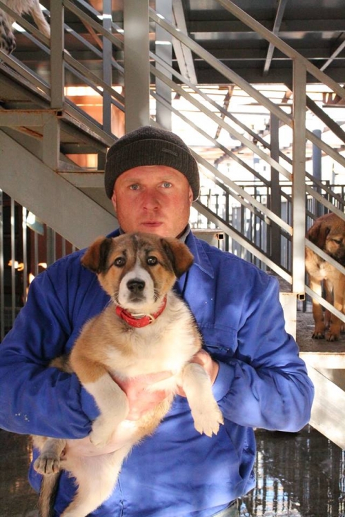 მეტისი უსახელო