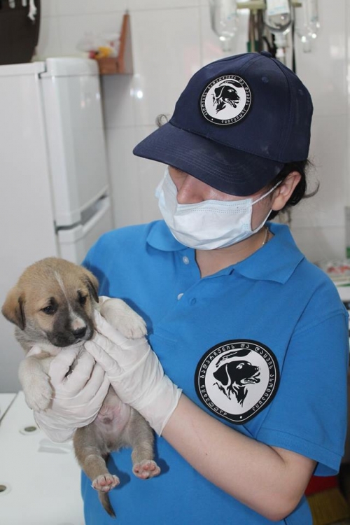 მეტისი უსახელო