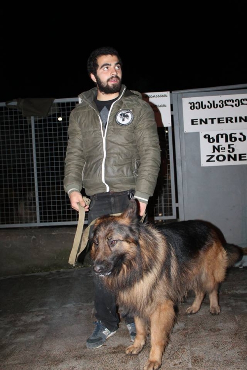 გერმანული ნაგაზი უსახელო