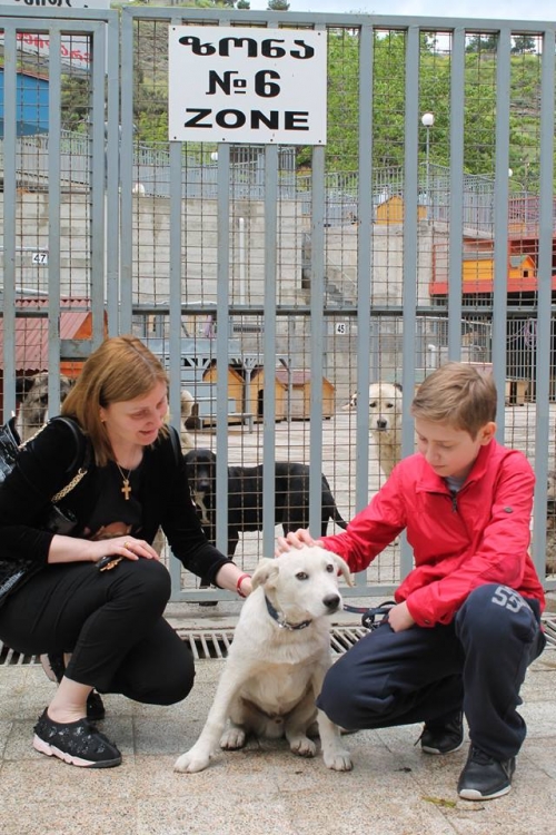 მეტისი უსახელო