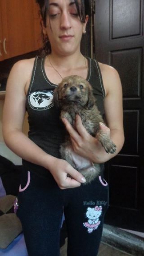 მეტისი უსახელო