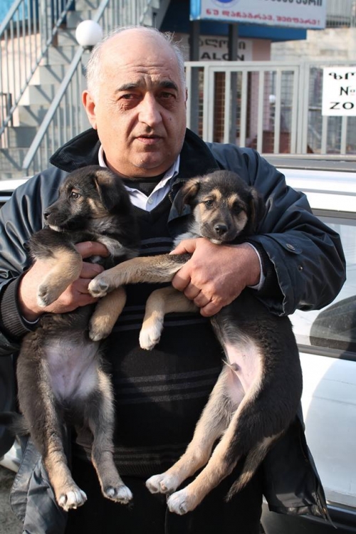 მეტისი უსახელო