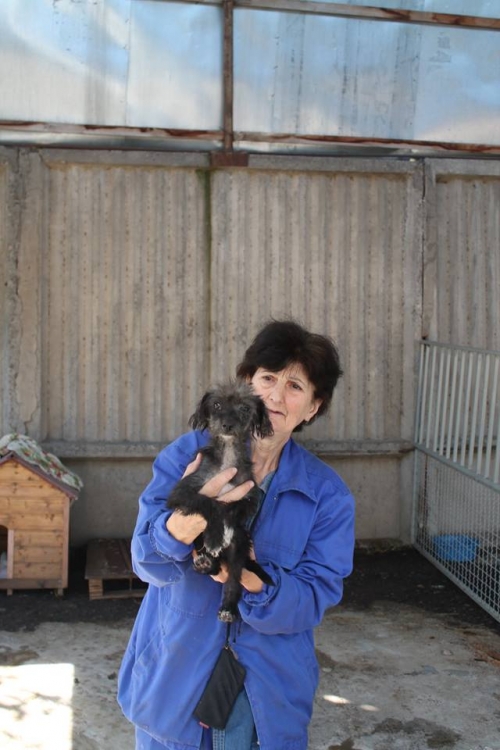 ბალონკის მეტისი უსახელო