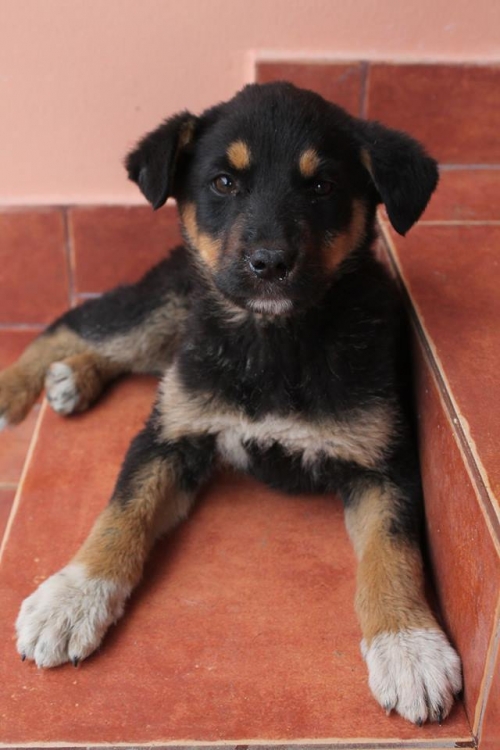 მეტისი უსახელო