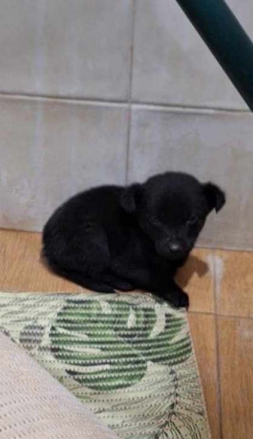 მეტისი ქინძმარაულის ქუჩა