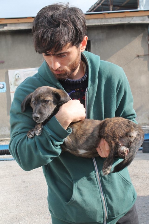 მეტისი უსახელო