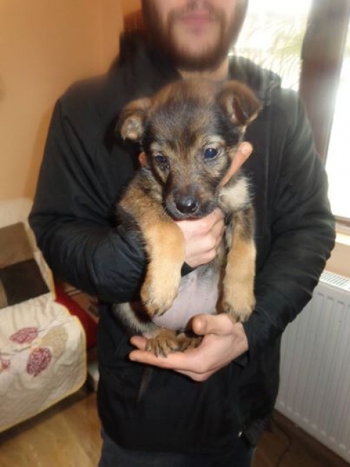 მეტისი უსახელო