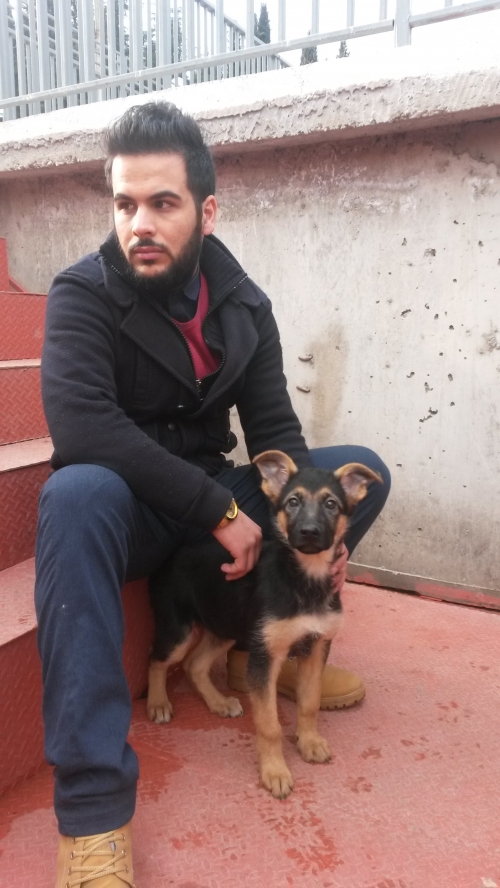 გერმანული ნაგაზი ლესი