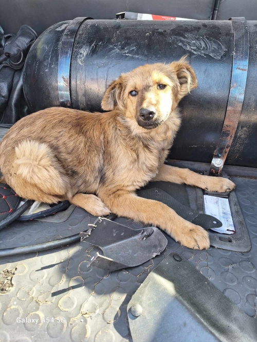 მეტისი ვარკეთილის მეტრო