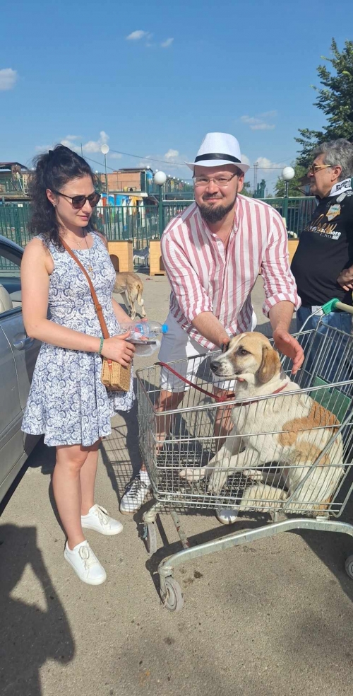 მეტისი მცხეთა