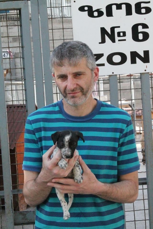 მეტისი უსახელო