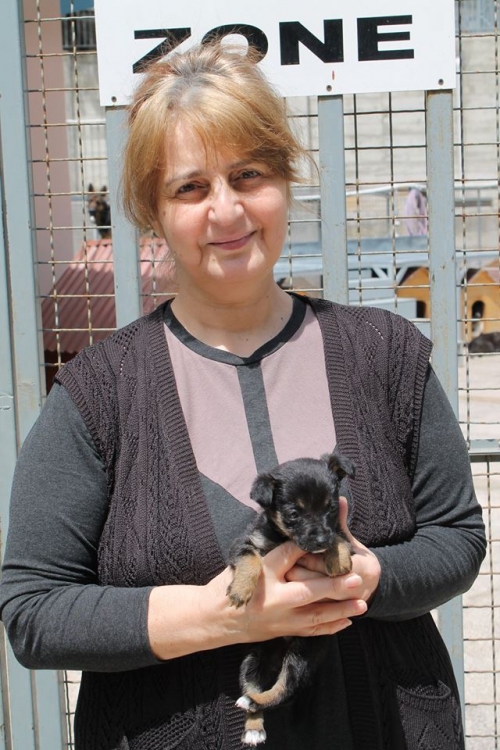 მეტისი უსახელო