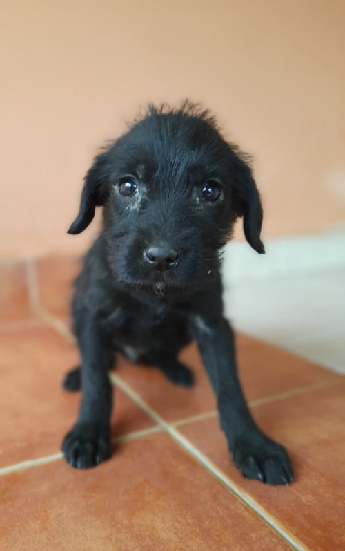 მეტისი ნაპოვნია მახათაზე