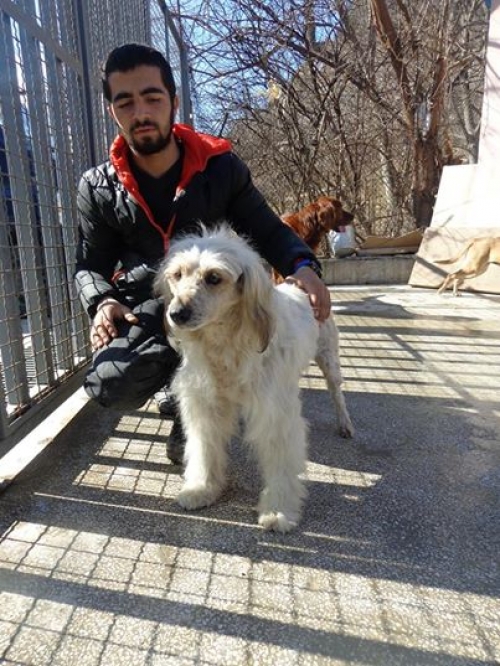 ბალონკა უასახელო