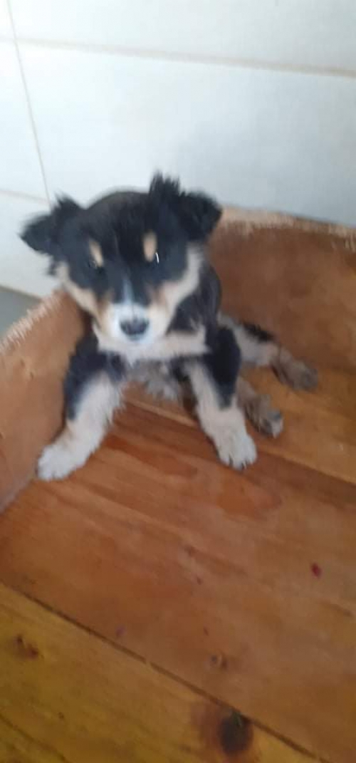 მეტისი უსახელო