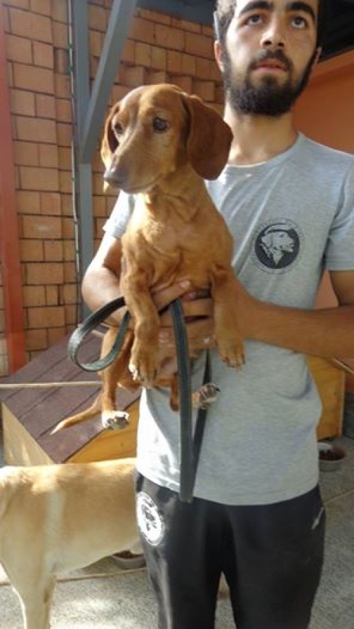 ტაქსა უსახელო