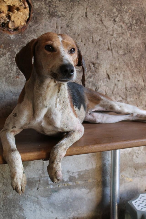 გონჩი უსახელო