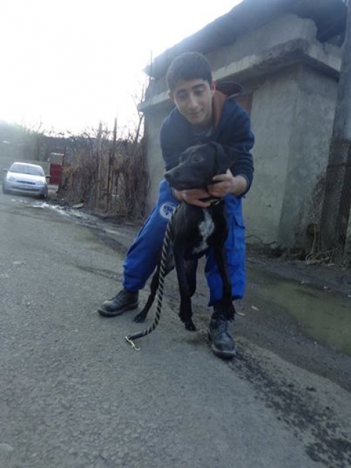 მეტისი კორა