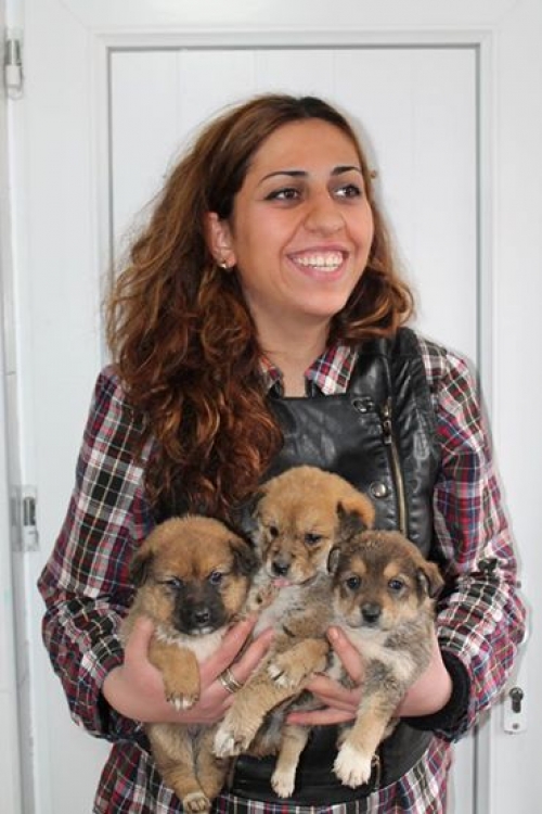 მეტისი უსახელო