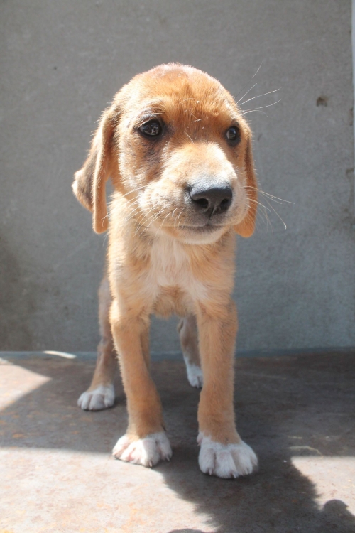 მეტისი უსახელო