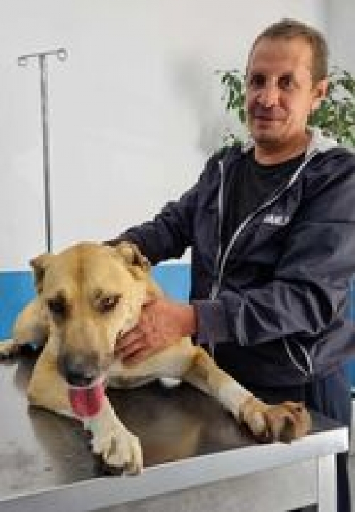 მეტისი მე3 მასივი შუამთის 33.