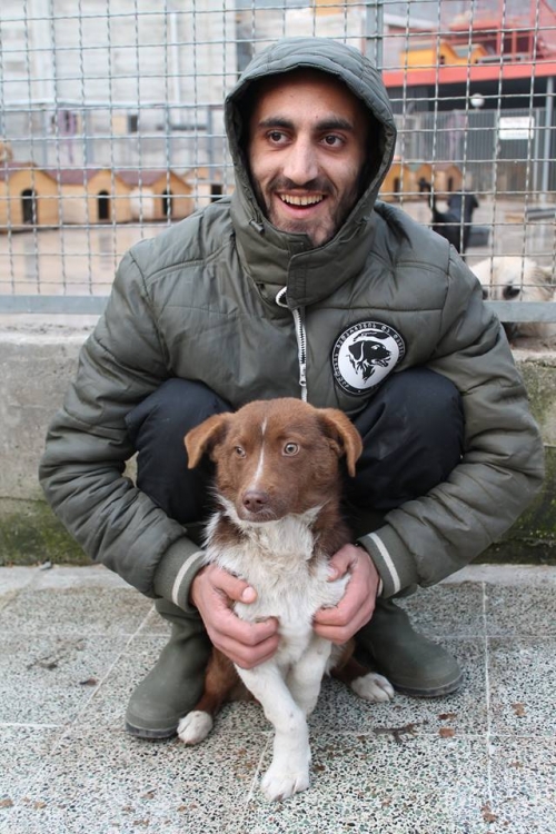 მეტისი უსახელო